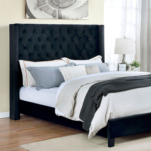 Ryleigh Bed Black, Grey, & Navy - Marjories Furniture (Las Vegas, NV)
