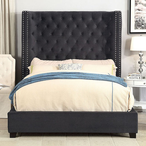 Mirabelle Cal.King, E.King & Queen Bed - Marjories Furniture (Las Vegas, NV)