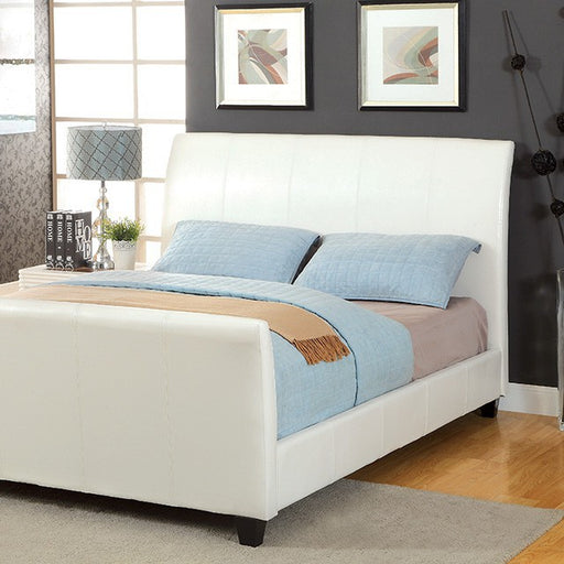 Maynard Bed Espresso & White - Marjories Furniture (Las Vegas, NV)