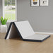 Hollyhock Mattress - Marjories Furniture (Las Vegas, NV)