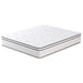 Salvia Mattress - Marjories Furniture (Las Vegas, NV)