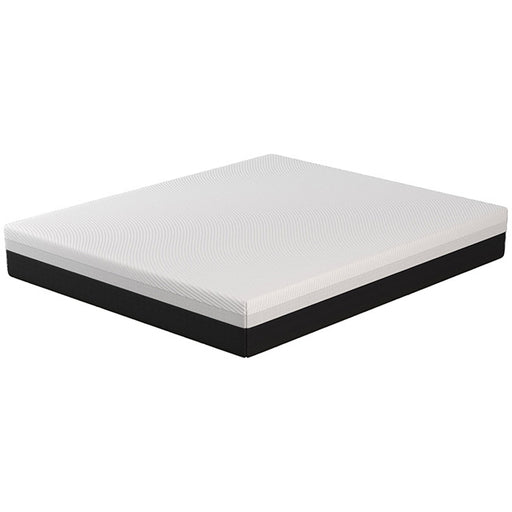 Verbena 12" Full Hybrid Pocket Coil Mattress - Marjories Furniture (Las Vegas, NV)