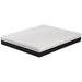 Verbena 12" Full Hybrid Pocket Coil Mattress - Marjories Furniture (Las Vegas, NV)