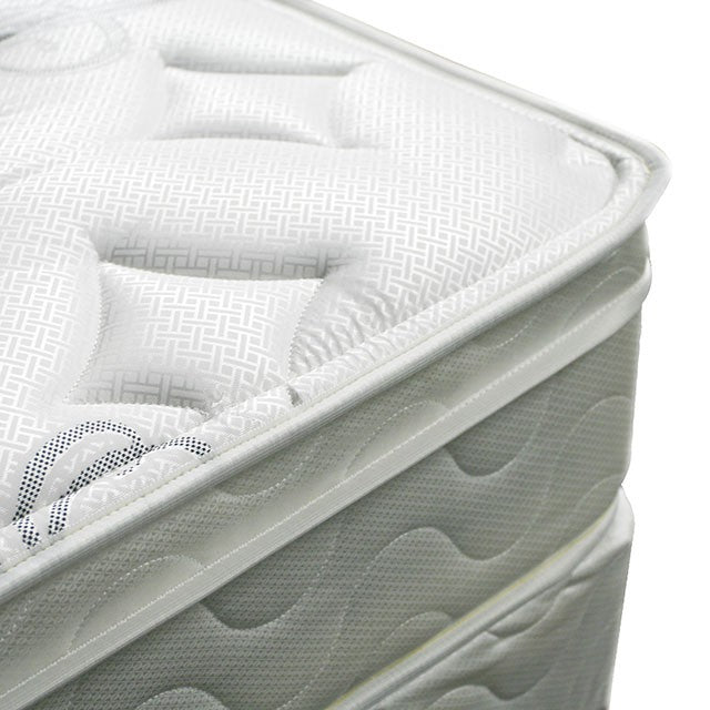 JALEN White 9" Euro Top Mattress, Twin - Marjories Furniture (Las Vegas, NV)