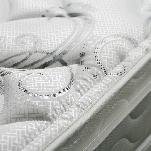 JALEN White 9" Euro Top Mattress, Twin - Marjories Furniture (Las Vegas, NV)