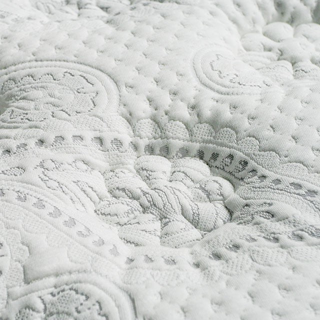 SIDDALEE White/Gray 16" Euro Pillow Top Mattress, Queen - Marjories Furniture (Las Vegas, NV)