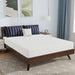 Nasturtium Mattress - Marjories Furniture (Las Vegas, NV)
