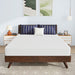 Nasturtium 8" Queen Bamboo Charcoal Infused Memory Foam - Marjories Furniture (Las Vegas, NV)