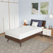 Nasturtium 8" Twin Bamboo Charcoal Infused Memory Foam - Marjories Furniture (Las Vegas, NV)