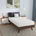 Nasturtium 8" Twin Bamboo Charcoal Infused Memory Foam - Marjories Furniture (Las Vegas, NV)