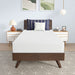 Nasturtium 8" Twin Bamboo Charcoal Infused Memory Foam - Marjories Furniture (Las Vegas, NV)