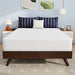 Nasturtium 10" Full Bamboo Charcoal Infused Memory Foam - Marjories Furniture (Las Vegas, NV)
