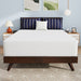 Nasturtium 12" Full Bamboo Charcoal Infused Memory Foam - Marjories Furniture (Las Vegas, NV)