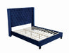 Ryleigh Bed Black, Grey, & Navy - Marjories Furniture (Las Vegas, NV)