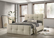 Merced Queen Bed - Marjories Furniture (Las Vegas, NV)