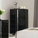 Sinistra Chest - Marjories Furniture (Las Vegas, NV)