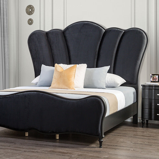 Melodi Parc Bed Black & Silver - Marjories Furniture (Las Vegas, NV)