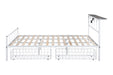 Nicoli Queen Metal Bed With Underbed Storage - Marjories Furniture (Las Vegas, NV)