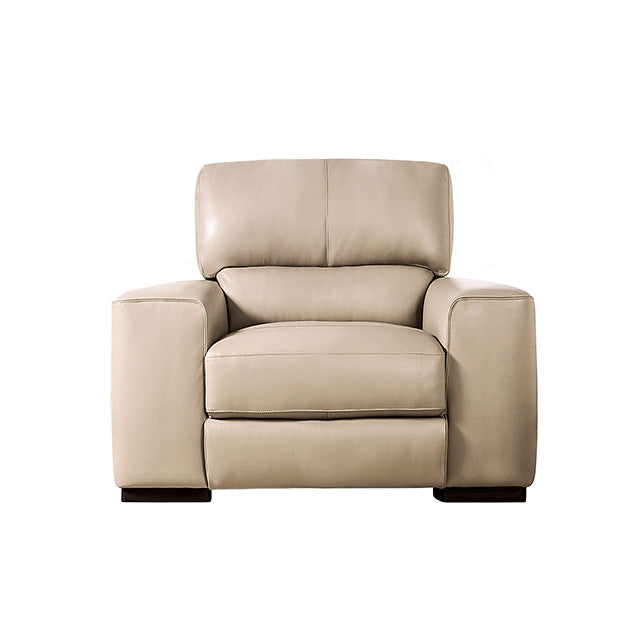 Marsicano Recliner - Marjories Furniture (Las Vegas, NV)